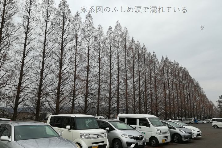 f0379160_16055138.jpg