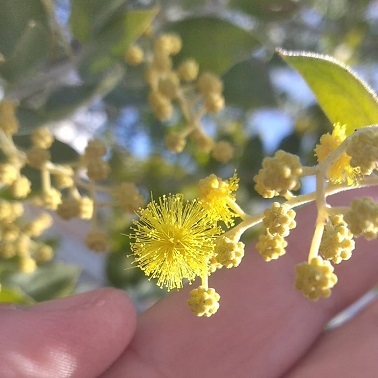 c0172261_09465710.jpg