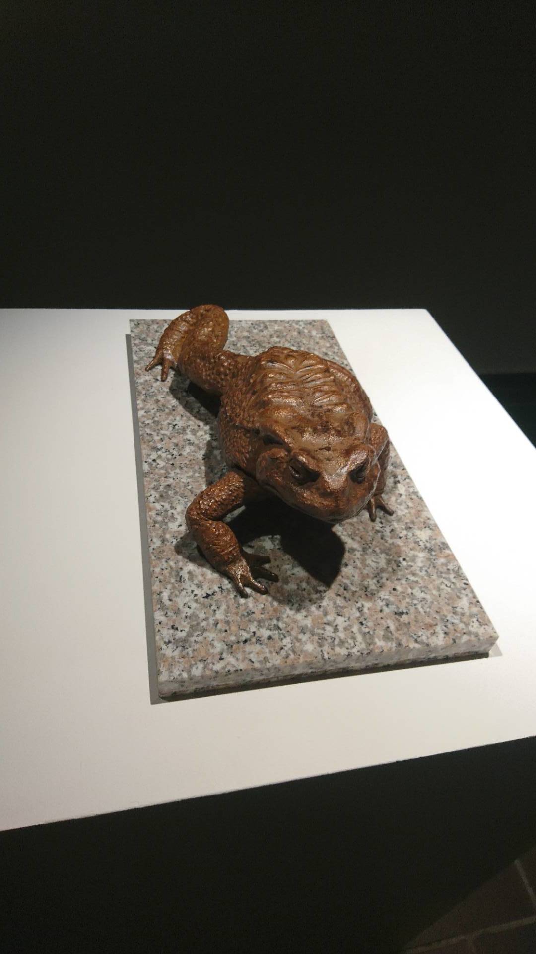 第67回 東京藝術大学卒業・修了作品展フォト記_c0002171_21131988.jpg