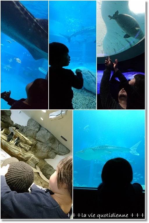 ダンナさん食堂☆アツアツ料理2つと海遊館に行って来たら今度は…_a0348473_04270923.jpg