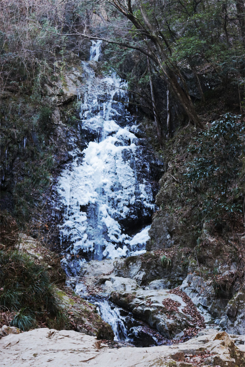 a0332275_22295173.jpg