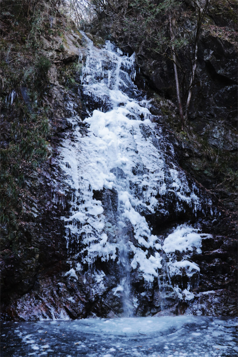 a0332275_22421128.jpg