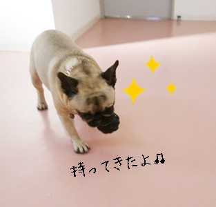 ボール大好き!_f0357682_20064237.jpg