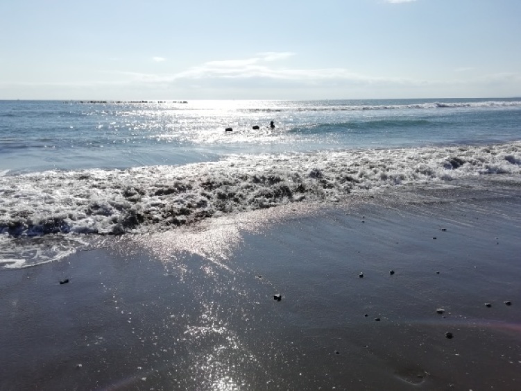 c0212083_15152927.jpg
