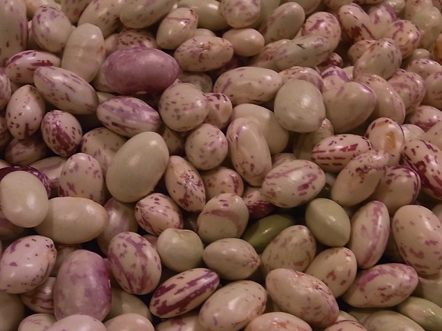 e0158687_09050253.jpg