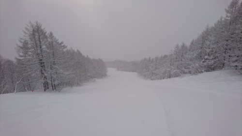 e0015490_22171115.jpg