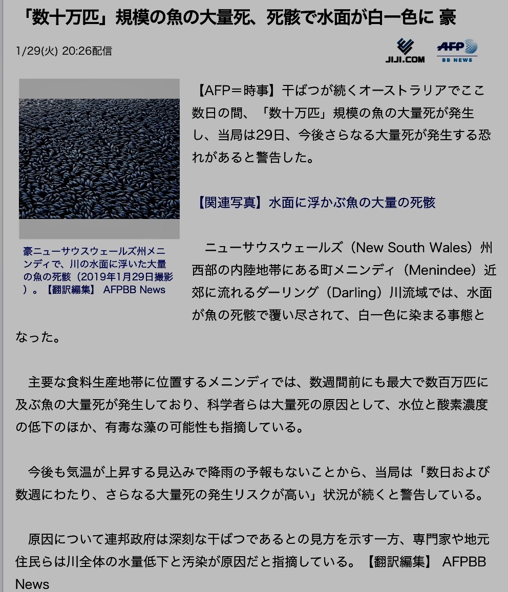 災害警戒日のお知らせ2019年1月28日まででしたが、頭痛が頻発していましたので3月までは要警戒。体感の検証記録と検証_b0301400_21064937.png