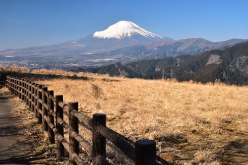 ２０１９年１月２９日(火) 山北町大野山牧場 尾畠さん山北町を行く_f0375202_17331337.jpg