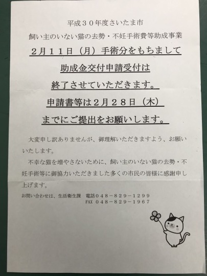 飼い主のいない猫の去勢不妊手術助成　今年度終了_e0001906_16535234.jpg