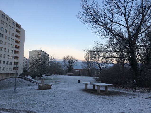 d0034609_16312033.jpeg