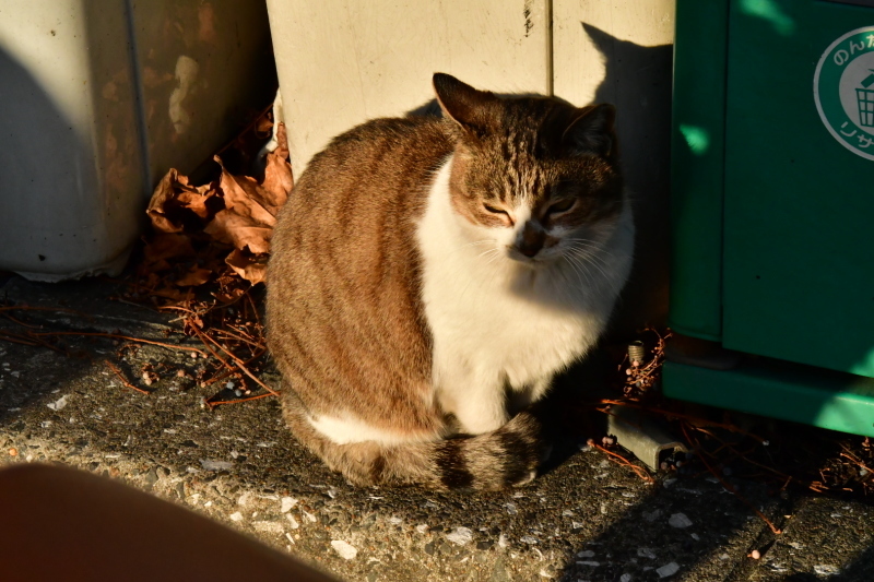 b0223512_22132686.jpeg