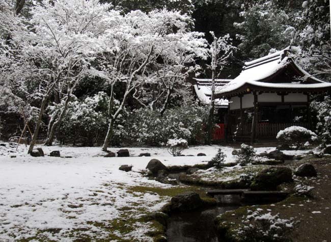 雪景色　上賀茂神社_e0048413_21143684.jpg