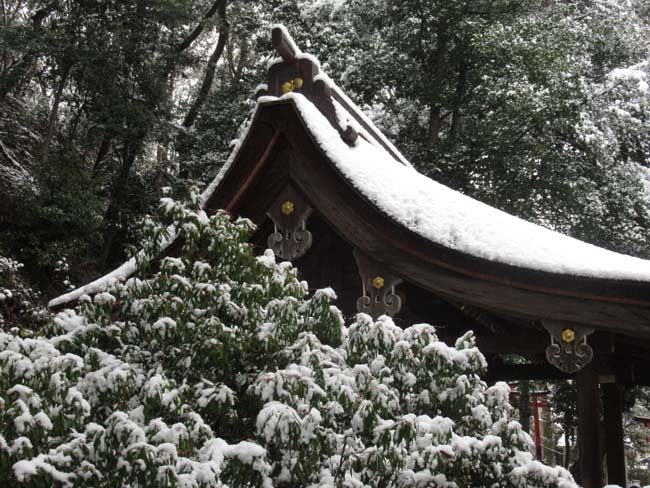 雪景色　上賀茂神社_e0048413_21144536.jpg