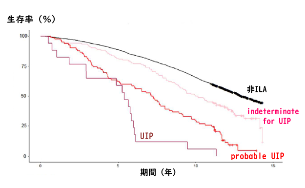 間質性陰影の長期的経過を予測する画像パターン_e0156318_14484053.png