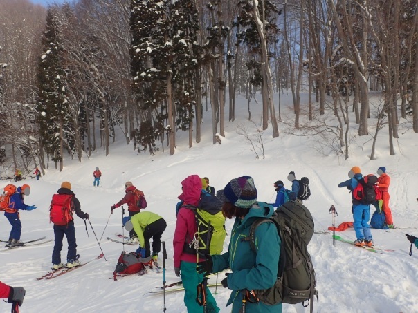 山スキーシーズン開幕_b0133032_23373036.jpg