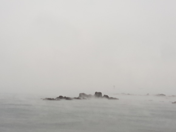 d0269832_21353467.jpeg