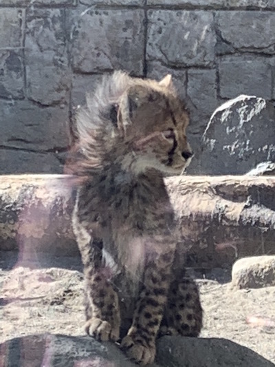 zoo_b0172633_13183340.jpg