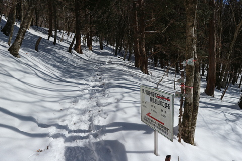 南平台＆鶴見岳の雪山を楽しむ！_e0272335_19295218.jpg