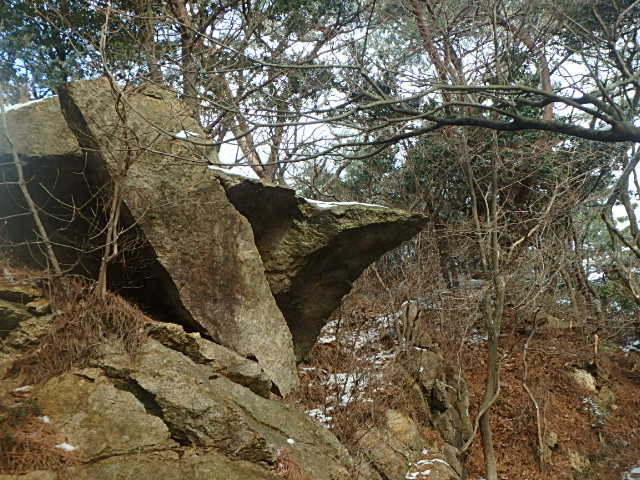 東六甲　魔の山　十八丁尾根　小さな冒険_f0334143_209476.jpg