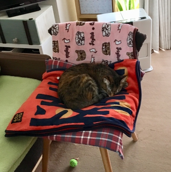 f0372445_09575751.jpeg