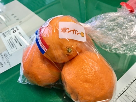 a0346455_16465328.jpeg