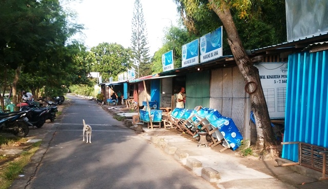 d0083068_10190500.jpg