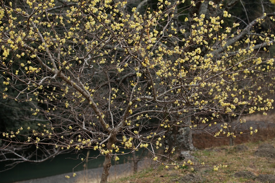 e0304170_20540082.jpg