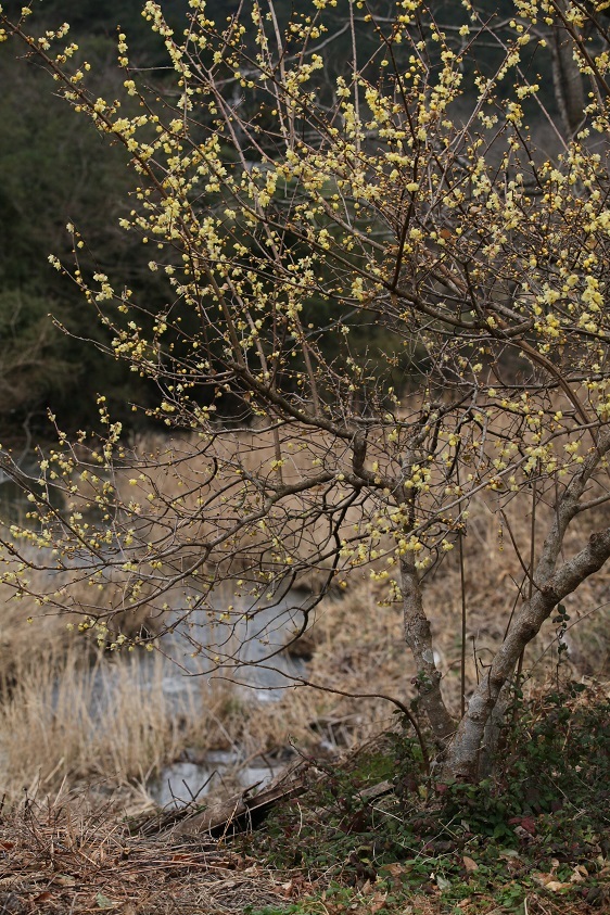 e0304170_20542676.jpg