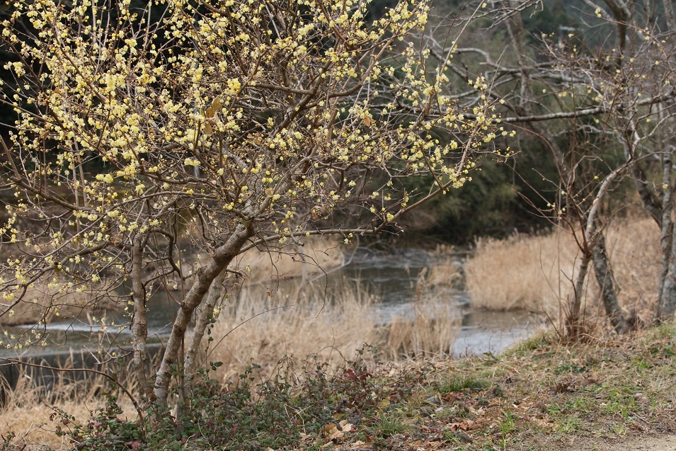 e0304170_20543509.jpg