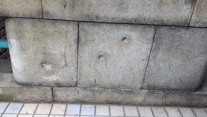 妖怪ちょこちょこ浮世絵いろいろ国芳絵金広景北斎本所割下水吉原三囲神社鳥居見えるか?明治おもしろつづき2019/1/21-29twitterまとめ_b0116271_12092030.jpg