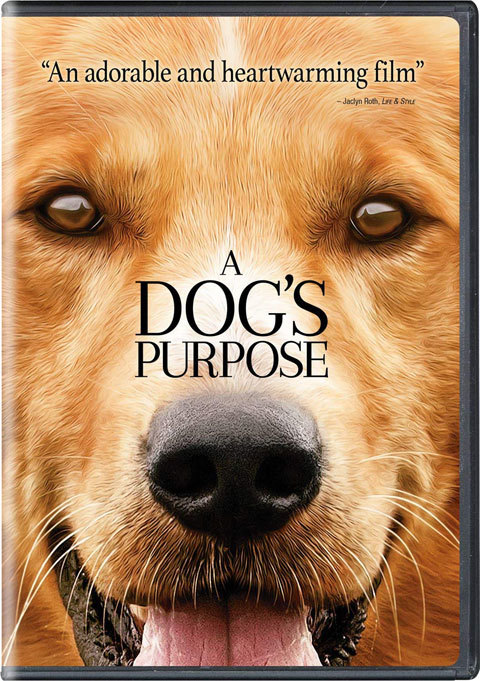 A Dog S Purpose 僕のワンダフルライフ 山田南平blog