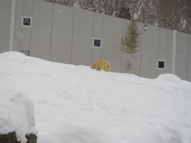 b0014576_23394797.jpg