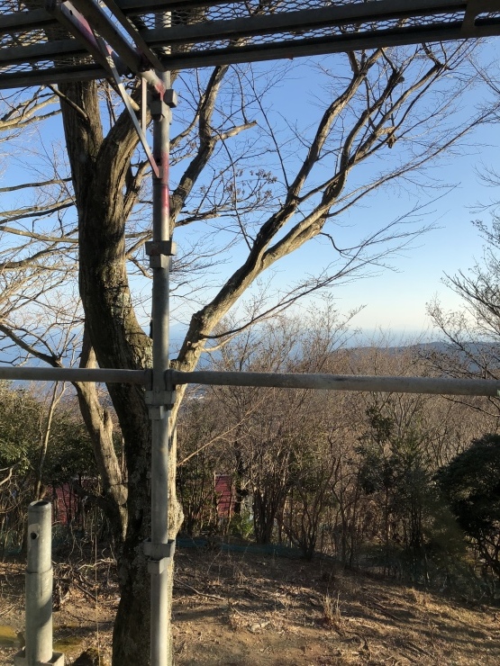 2019年1月29日   ツアー_b0098584_18520828.jpeg