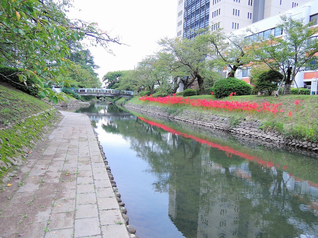 ある風景：Toyama@Autumn～Winter #4 / fin_b0400788_23223500.jpg