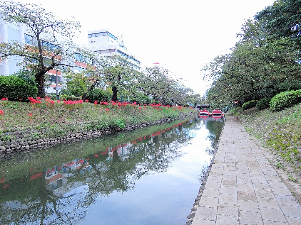 ある風景：Toyama@Autumn～Winter #4 / fin_b0400788_23223590.jpg