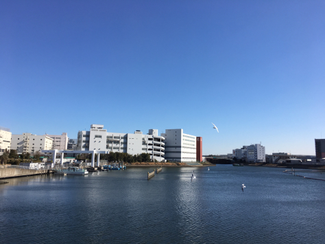 ふるはま公園の楽しみ方はみんなそれぞれ。_a0112393_14533351.jpg