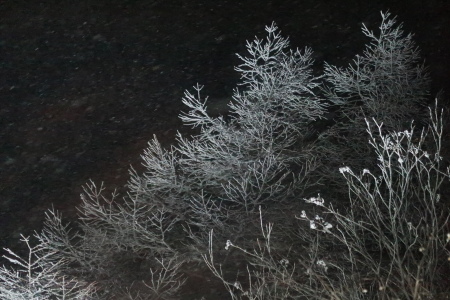 雪降りの夜_e0120896_08173035.jpg