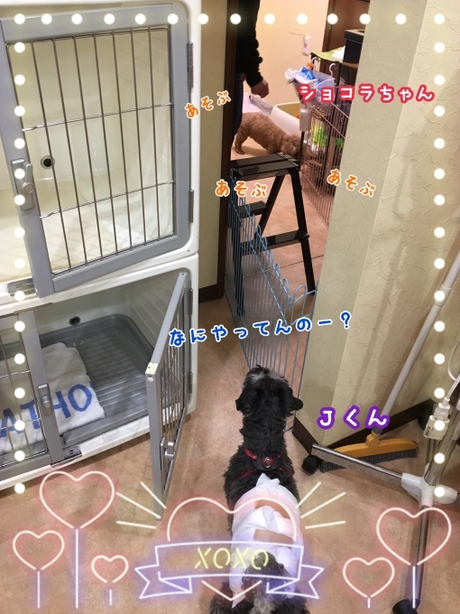 d0269898_18124537.jpeg