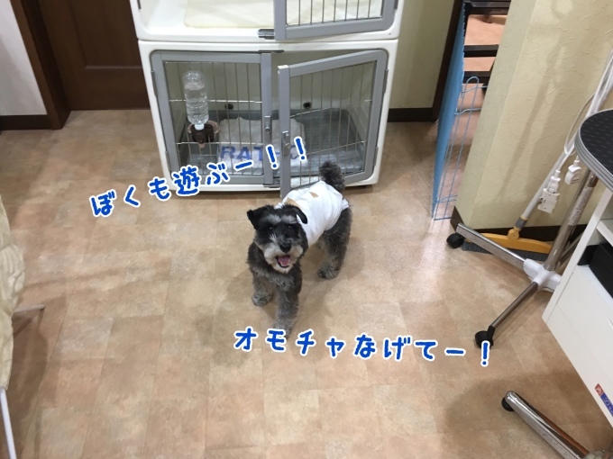 d0269898_18135342.jpeg