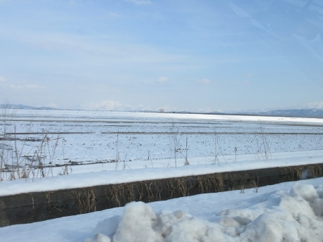 a0203003_17204164.jpg
