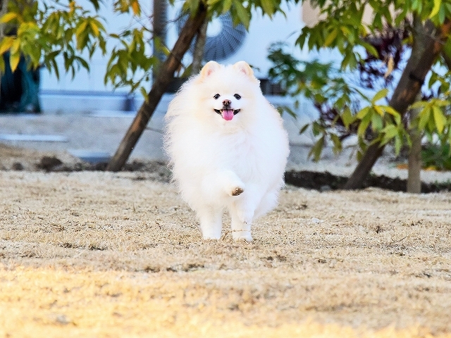 じっとガマンの子_d0360206_01544269.jpg