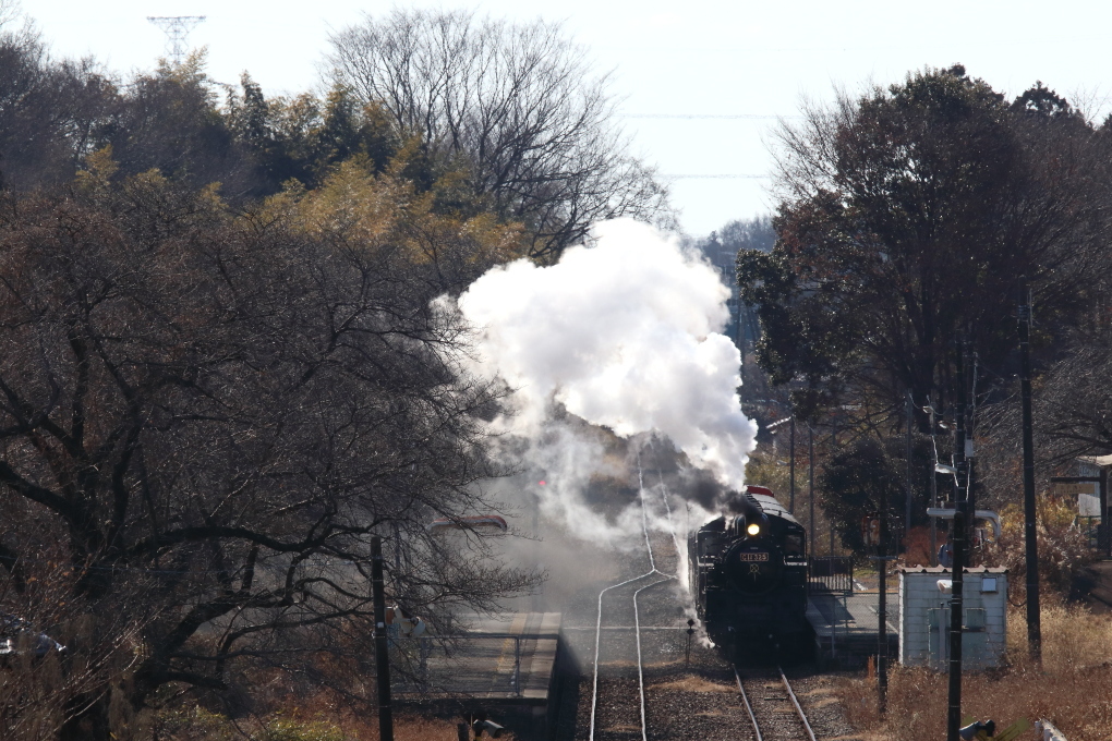 白煙はいっぱい でも黒煙は無い 19年冬 真岡鐵道 ねこの撮った汽車