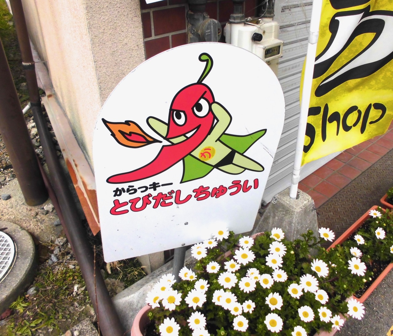 虹のわ展軌跡_b0181015_12370217.jpg