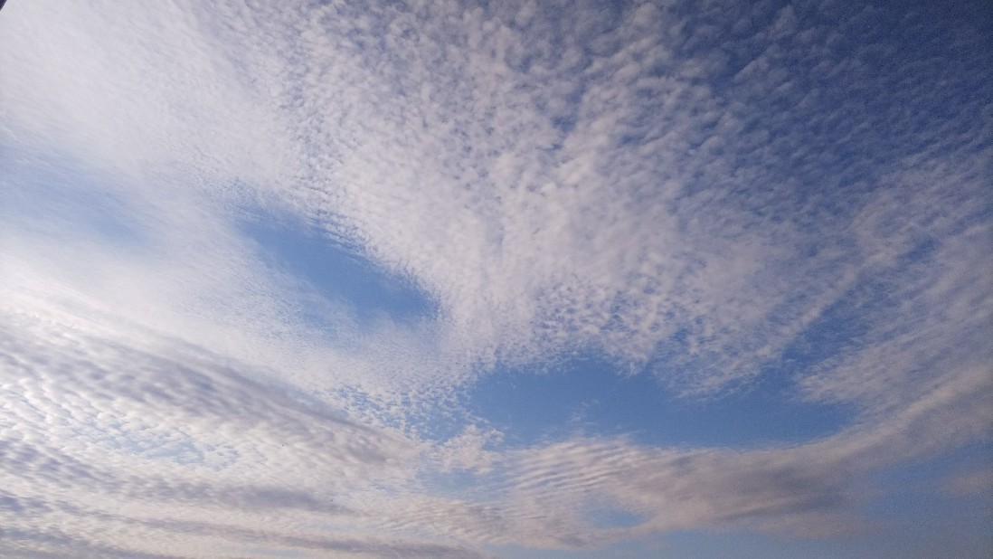 a0098418_22491948.jpg
