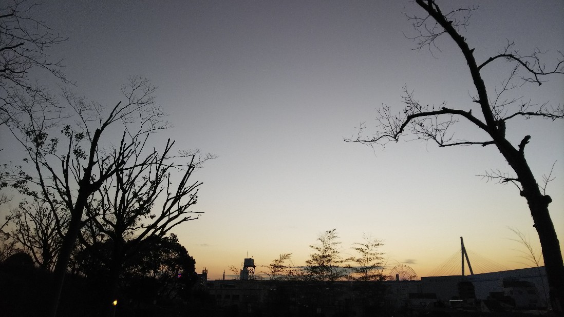 a0098418_22491971.jpg