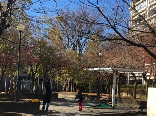b0330040_06323634.jpeg