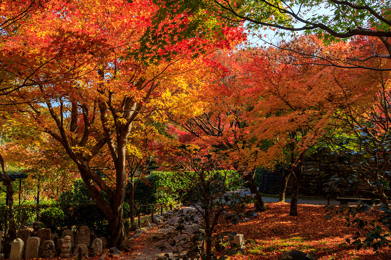 京の紅葉2018　化野念仏寺の極彩色_f0155048_01561.jpg