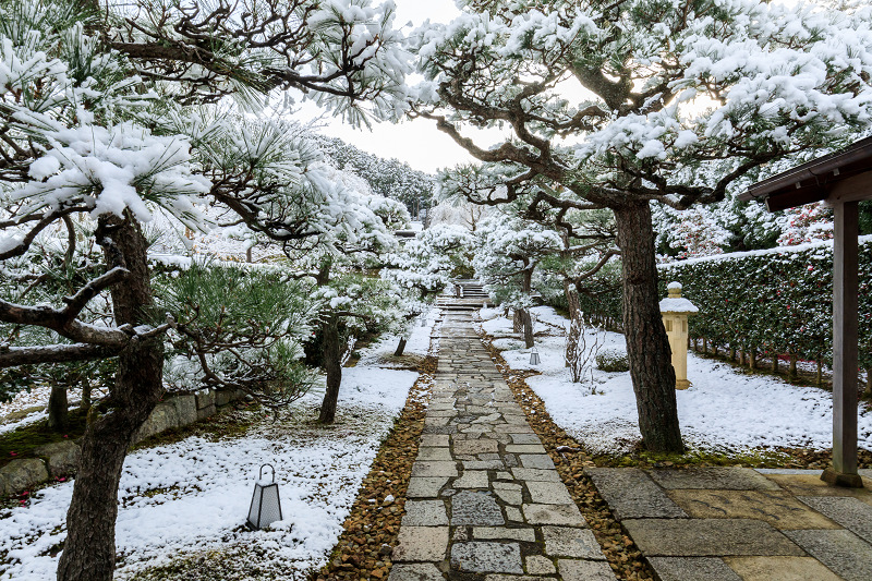 雪の京都　白銀の圓光寺_f0155048_2245641.jpg