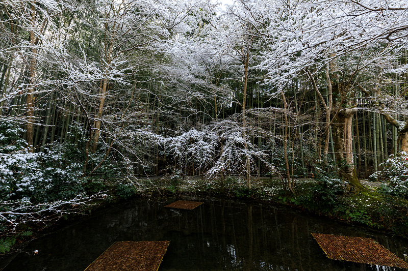 雪の京都　白銀の圓光寺_f0155048_2250416.jpg