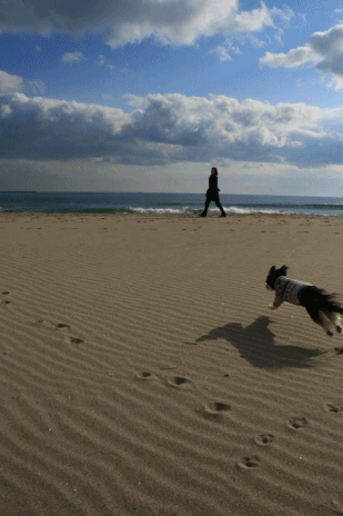 c0145250_10222039.gif